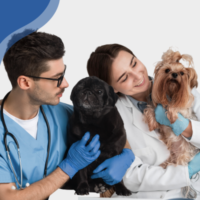 AUXILIAR DE VETERINARIA Y CUIDADO DE ANIMALES MENORES